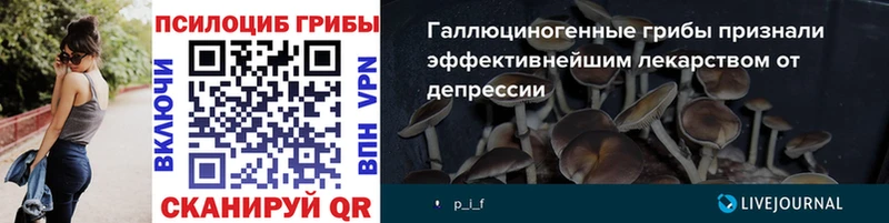 Галлюциногенные грибы Cubensis  Ефремов 