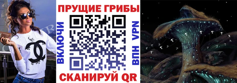Псилоцибиновые грибы мухоморы Ефремов